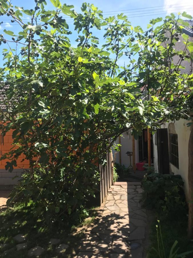 Willa Ferienhaus Rheinperle Mit Garten In Remagen Am Rhein - Naehe Bonn Zewnętrze zdjęcie