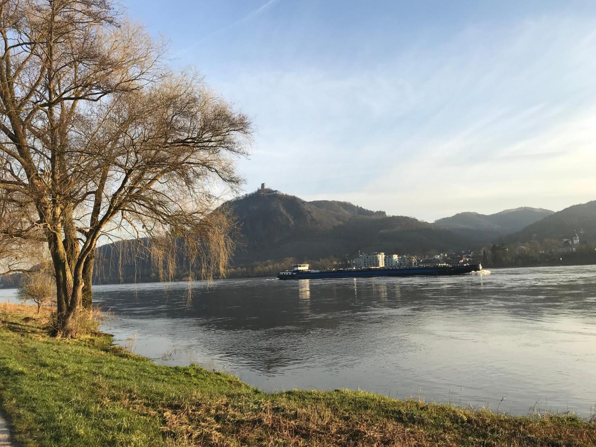 Willa Ferienhaus Rheinperle Mit Garten In Remagen Am Rhein - Naehe Bonn Zewnętrze zdjęcie