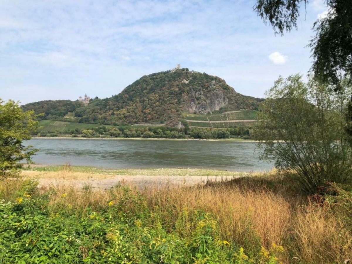 Willa Ferienhaus Rheinperle Mit Garten In Remagen Am Rhein - Naehe Bonn Zewnętrze zdjęcie