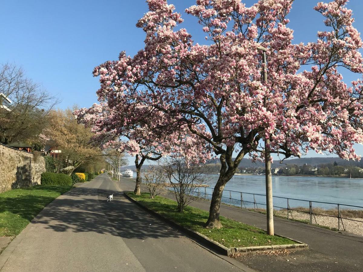 Willa Ferienhaus Rheinperle Mit Garten In Remagen Am Rhein - Naehe Bonn Zewnętrze zdjęcie